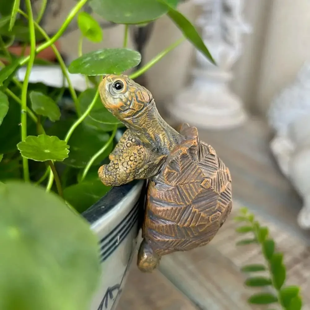 Fishing Turtle Hanging Turtle  - Aquarium Planted Plants incelemesi ve fiyatı