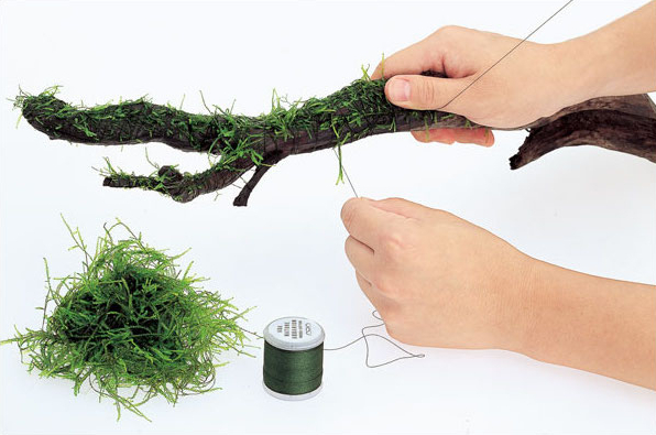 Degradable Aquarium Driftwood  - Aquarium Plant Echinodorus incelemesi ve fiyatı