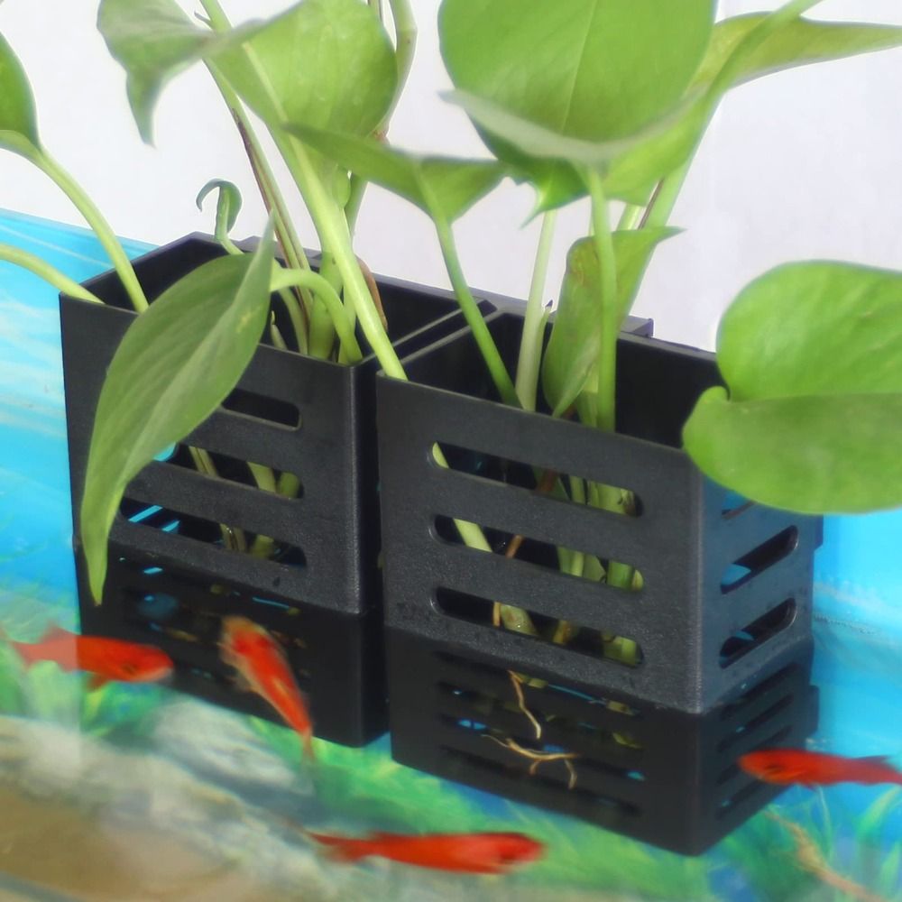 Hydroponic Aquarium Glass Plan - Emersed Plants Aquarium incelemesi ve fiyatı