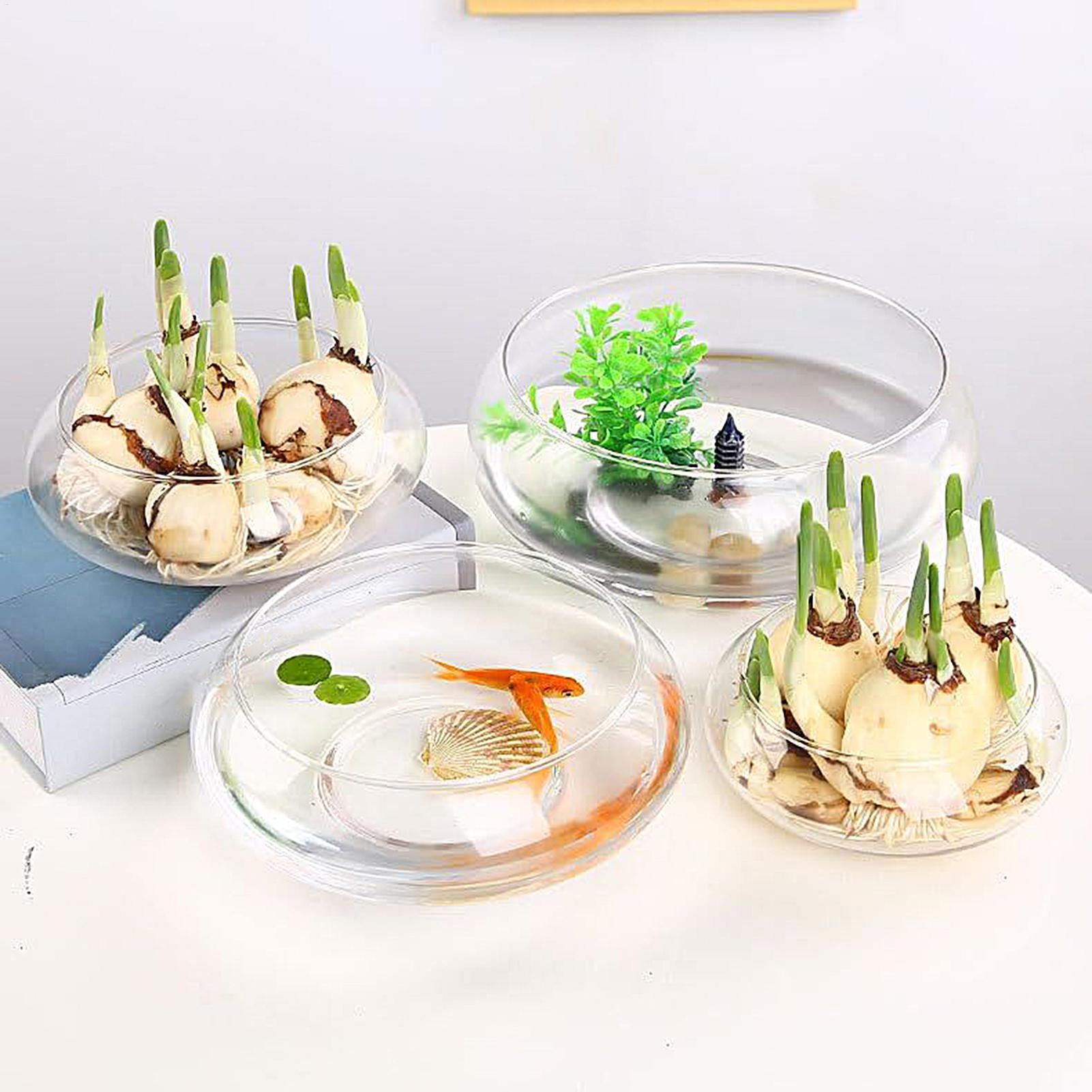 Fish Glass Bowl Glass Large Hy - Aquarium Planted Plants incelemesi ve fiyatı