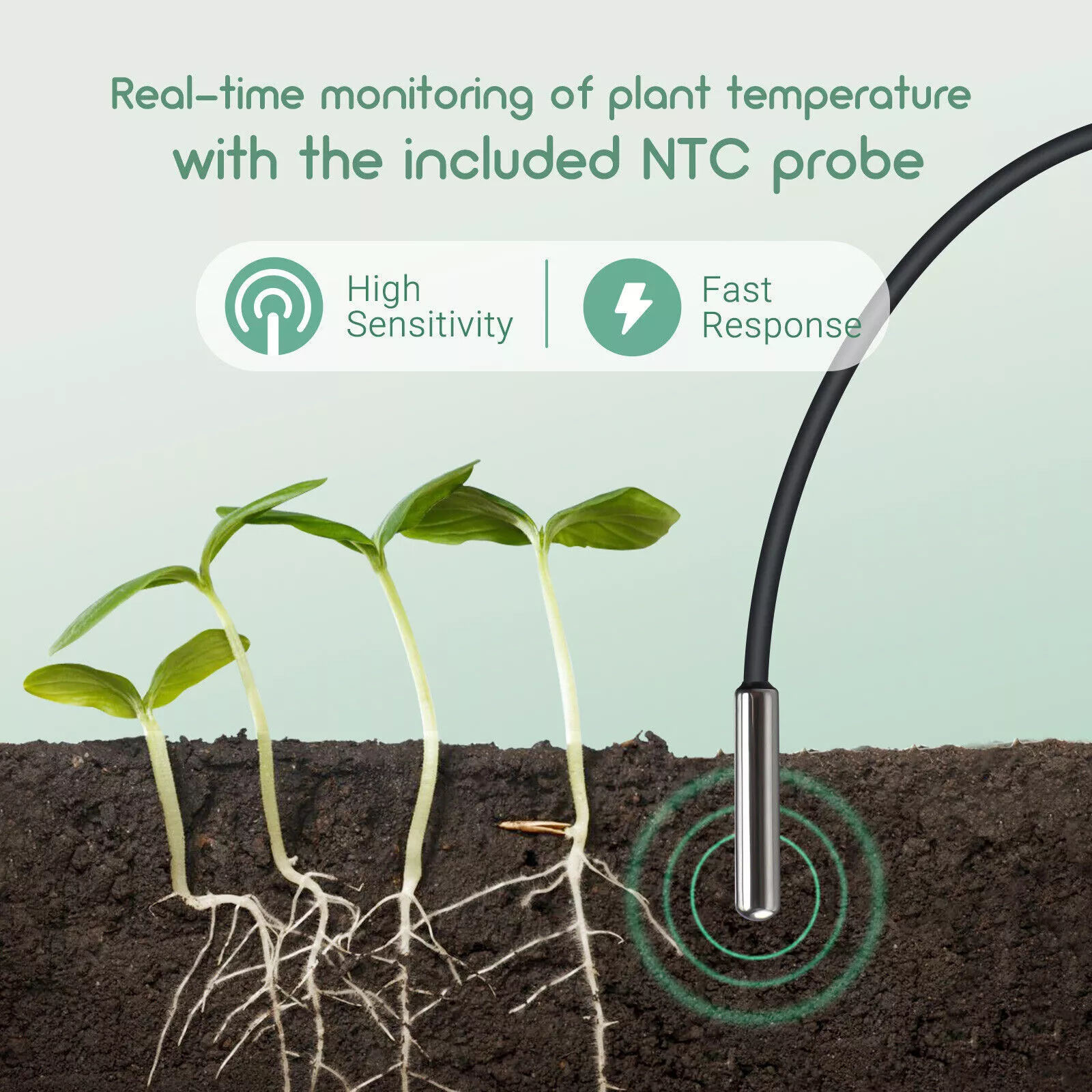 Lerway Plant Growth Heating Ma - Planted Aquarium Heater incelemesi ve fiyatı