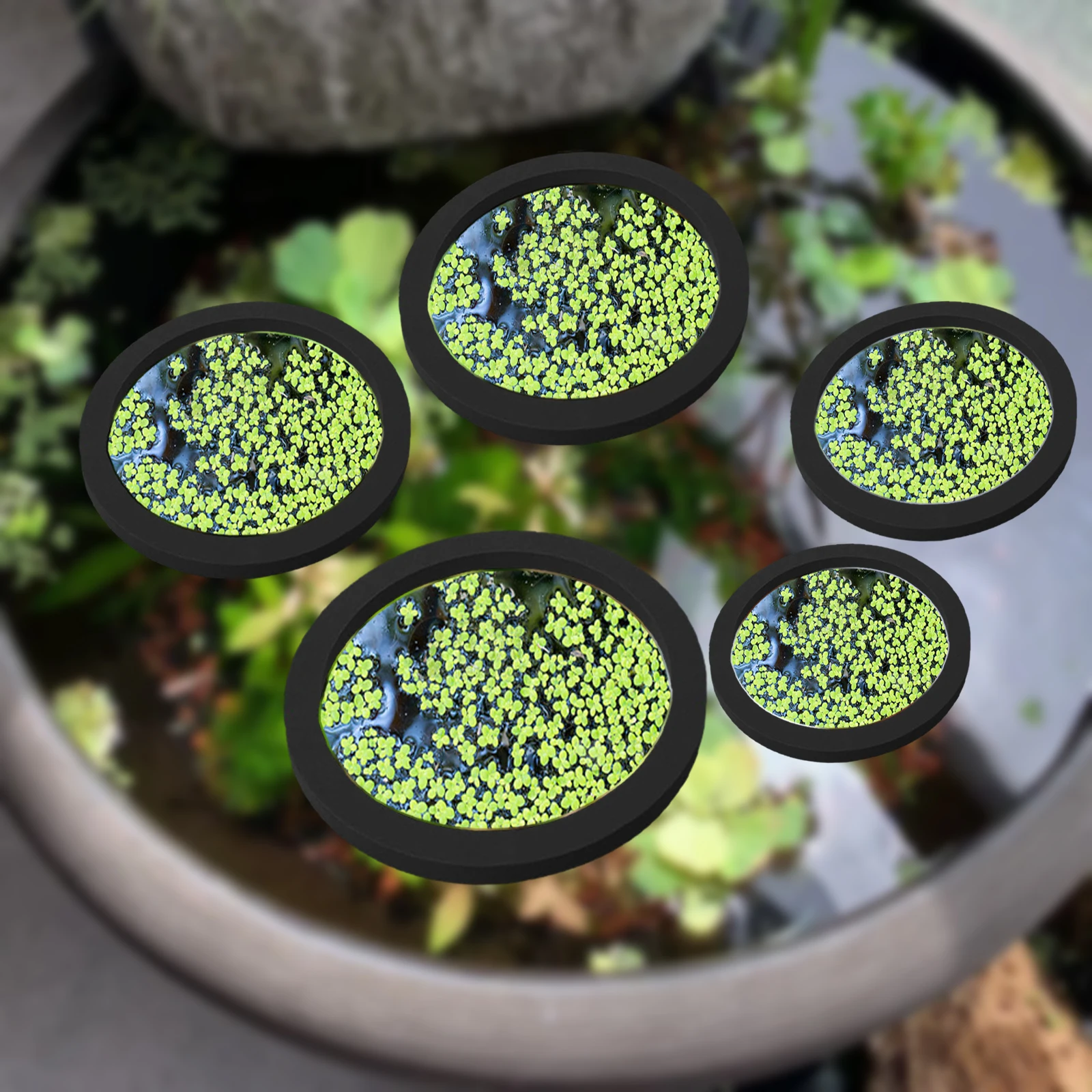 5Pcs EVA Fish Feeding Ring Aqu - Aquarium Planted Plants incelemesi ve fiyatı