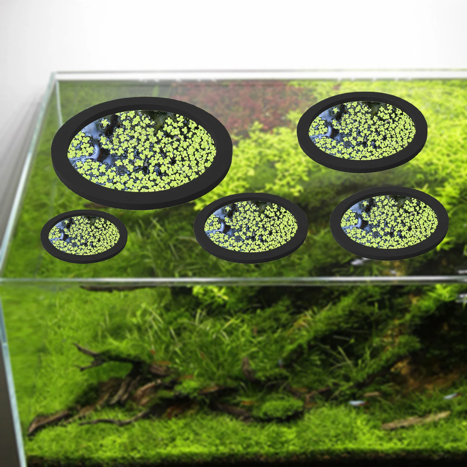 5Pcs EVA Fish Feeding Ring Aqu - Aquarium Planted Plants incelemesi ve fiyatı