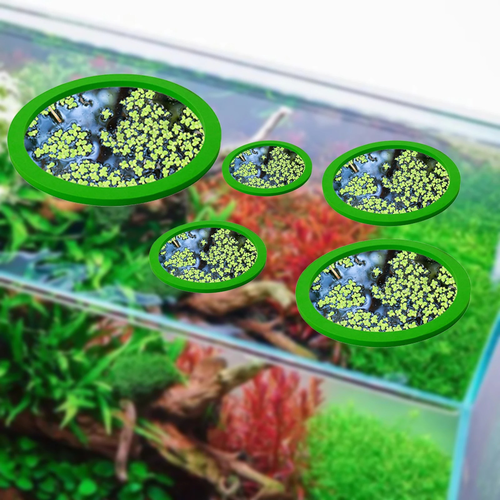 5Pcs EVA Fish Feeding Ring Aqu - Aquarium Planted Plants incelemesi ve fiyatı