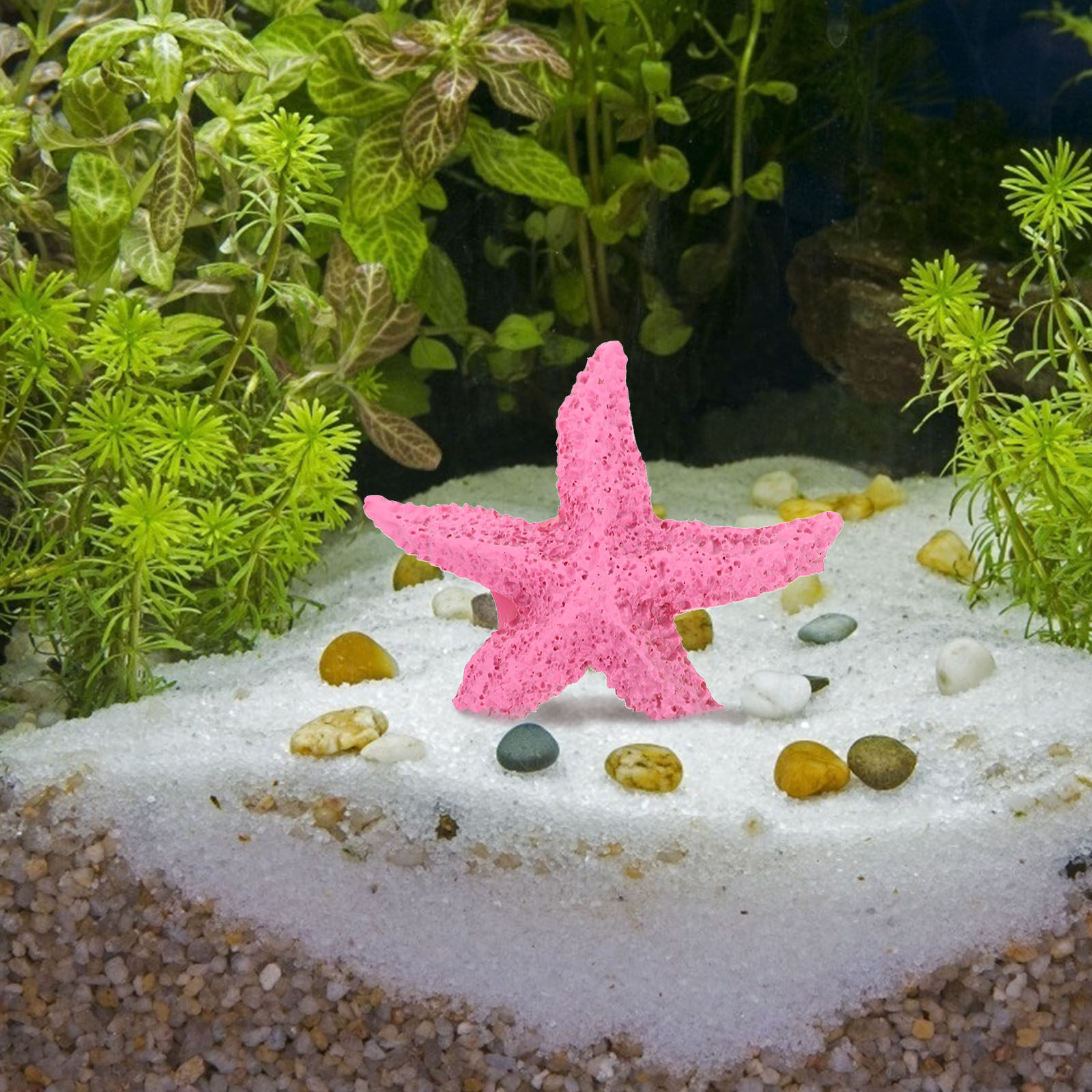2pcs Sea Star Decor Resin Craf - Aquarium Planet incelemesi ve fiyatı
