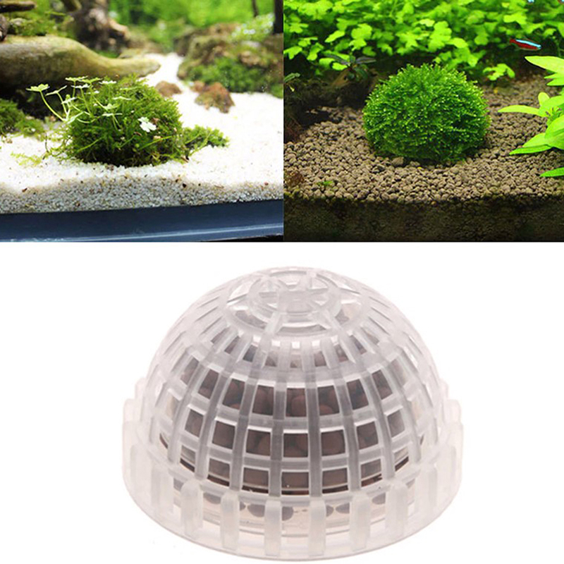 .1Pc Aquatic Pet Supplies Deco - Aquarium Plant Echinodorus incelemesi ve fiyatı