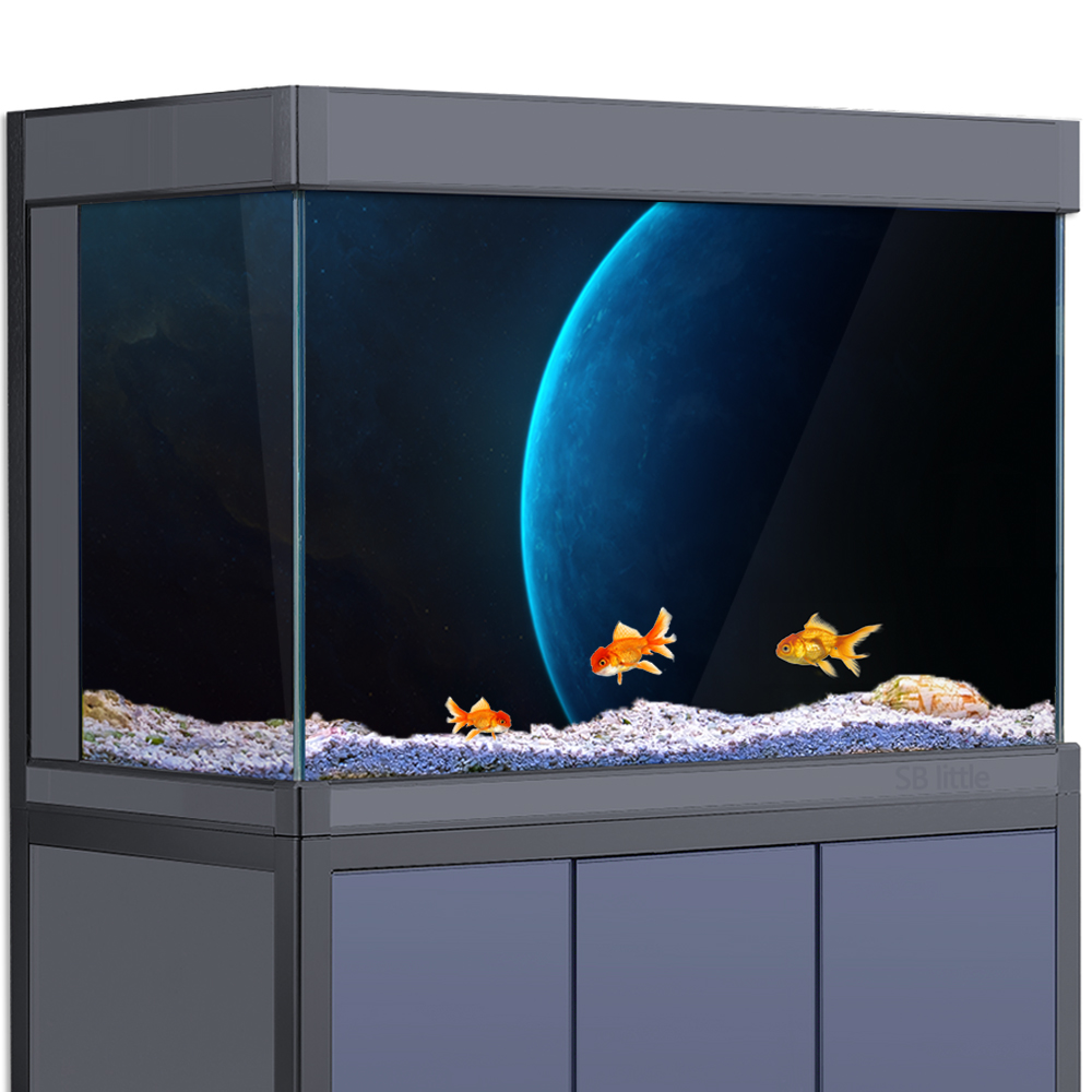 Aquarium Background Sticker -  - Aquarium Planet incelemesi ve fiyatı