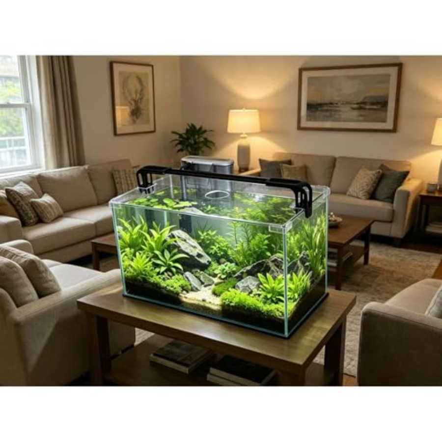 10 Gallon Glass Fish Tank, Eas - Planted Aquarium For Betta incelemesi ve fiyatı