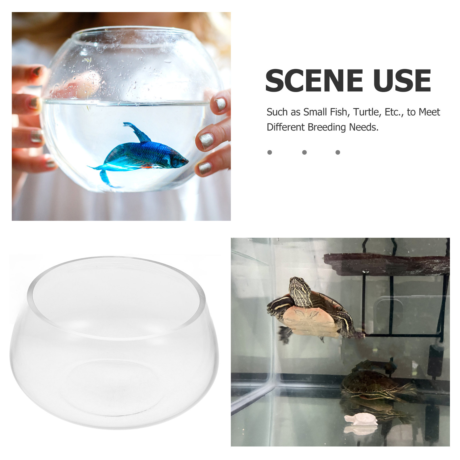 Round Clear Glass Mini Aquariu - Aquarium Planted Shop incelemesi ve fiyatı