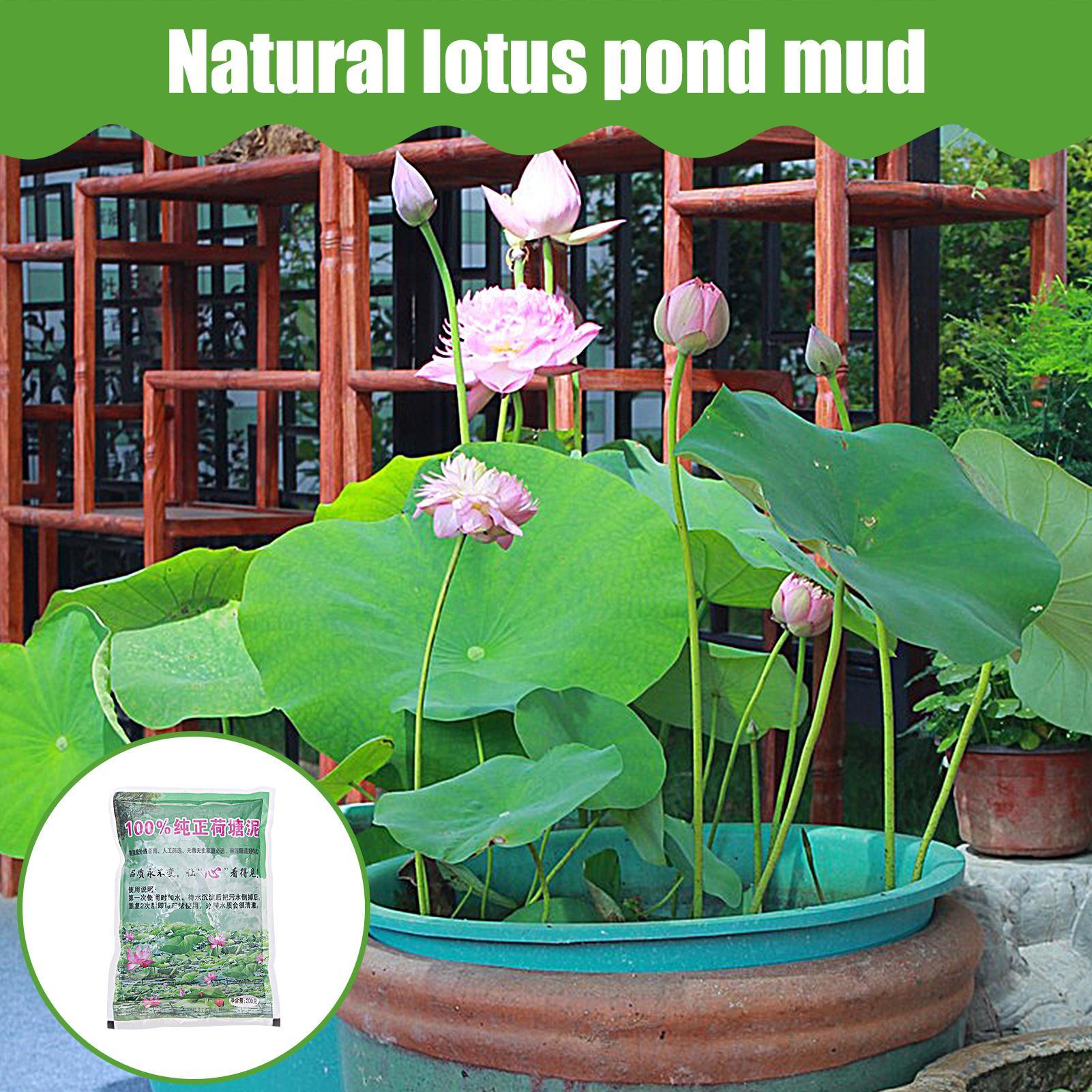200g/bag Aquarium Soil Natural - Aquarium Plant Liquid Fertilizer incelemesi ve fiyatı