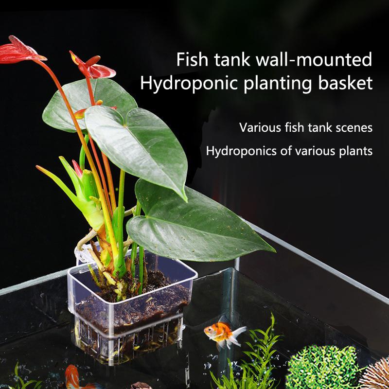 Hollow Wall Mount Aquarium Pla - Emersed Plants Aquarium incelemesi ve fiyatı