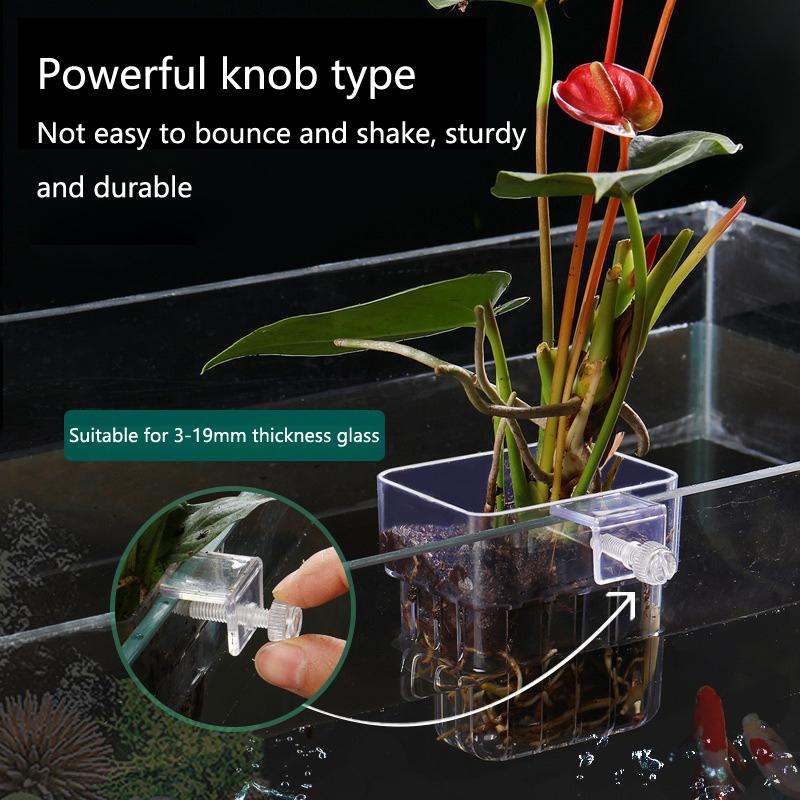 Hollow Wall Mount Aquarium Pla - Emersed Plants Aquarium incelemesi ve fiyatı