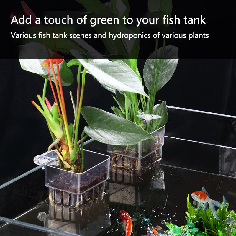 Hollow Wall Mount Aquarium Pla - Emersed Plants Aquarium incelemesi ve fiyatı