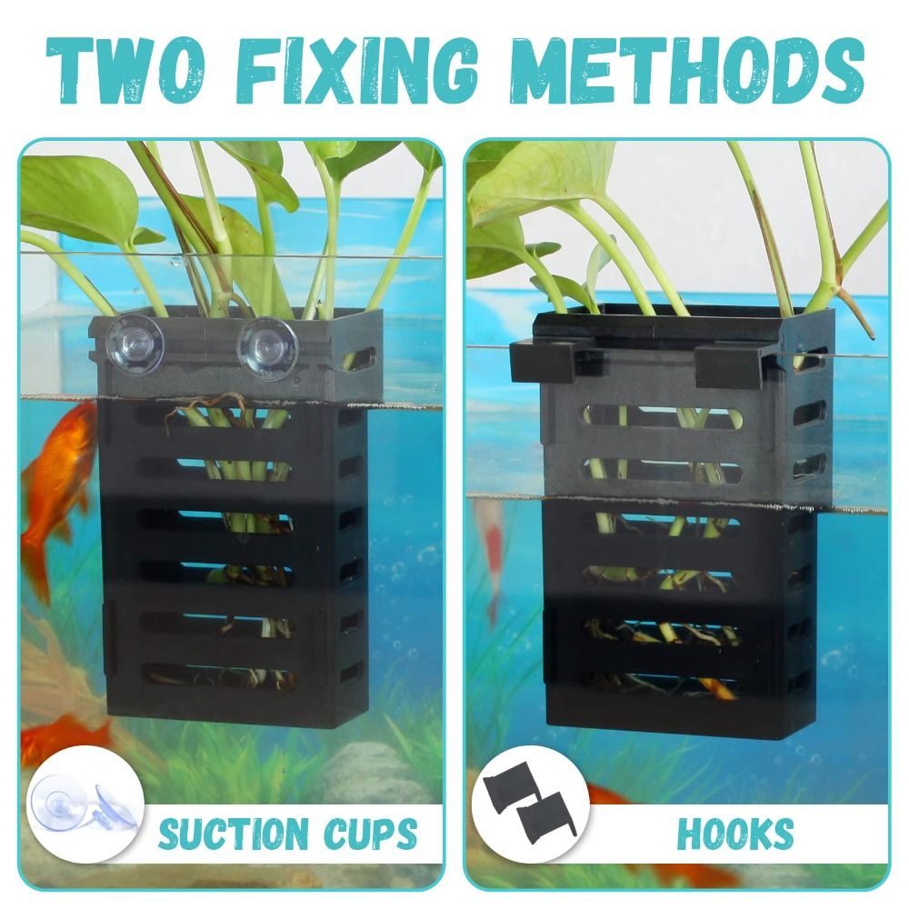 Hydroponic Aquarium Plant Hold - Emersed Plants Aquarium incelemesi ve fiyatı