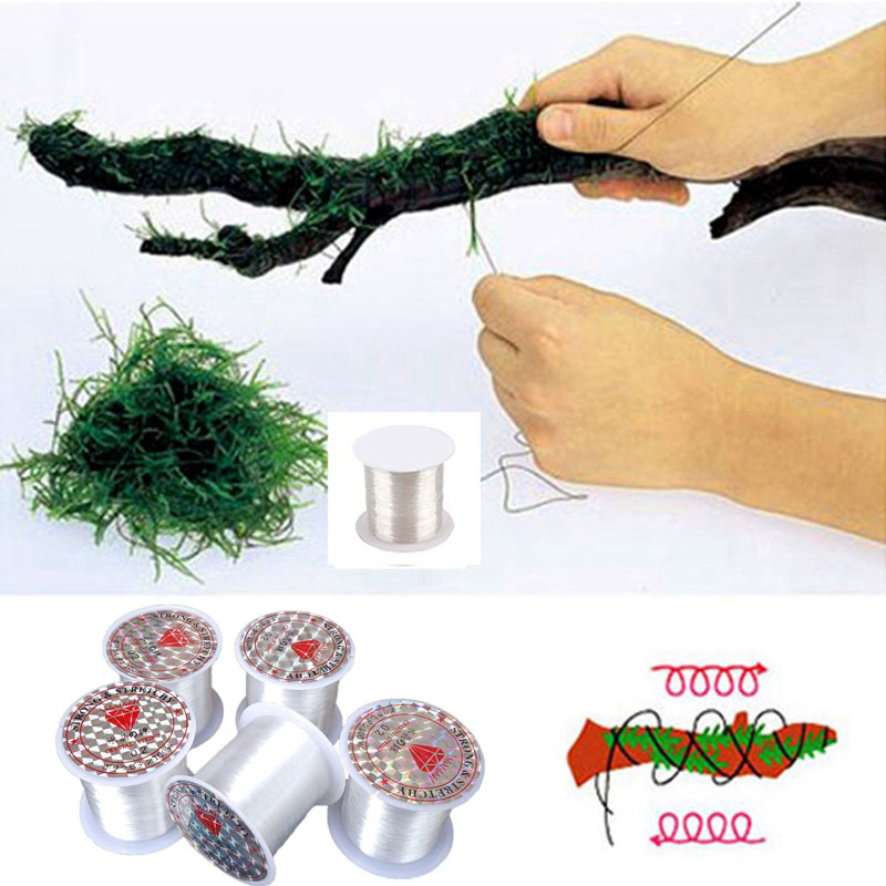 120M DIY Moss Line Binding Lin - Aquarium Plant Echinodorus incelemesi ve fiyatı