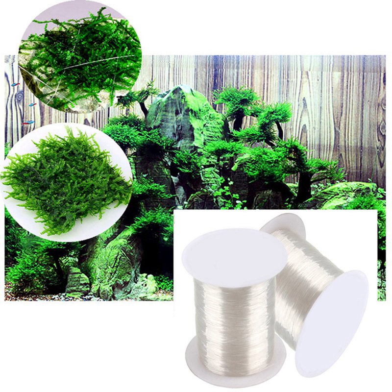 120M DIY Moss Line Binding Lin - Aquarium Plant Echinodorus incelemesi ve fiyatı