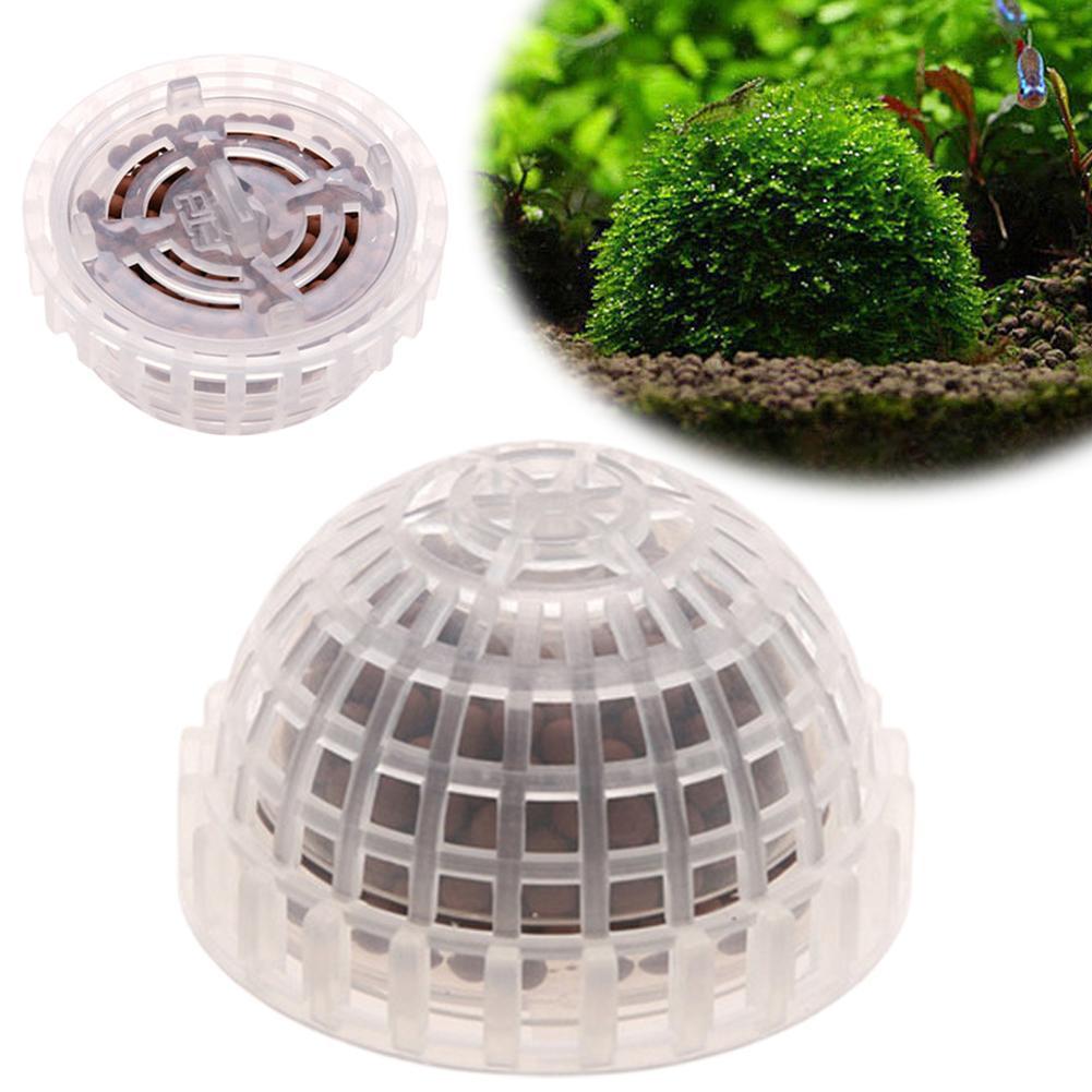 1pc Aquatic Pet Supplies Decor - Aquarium Plant Echinodorus incelemesi ve fiyatı
