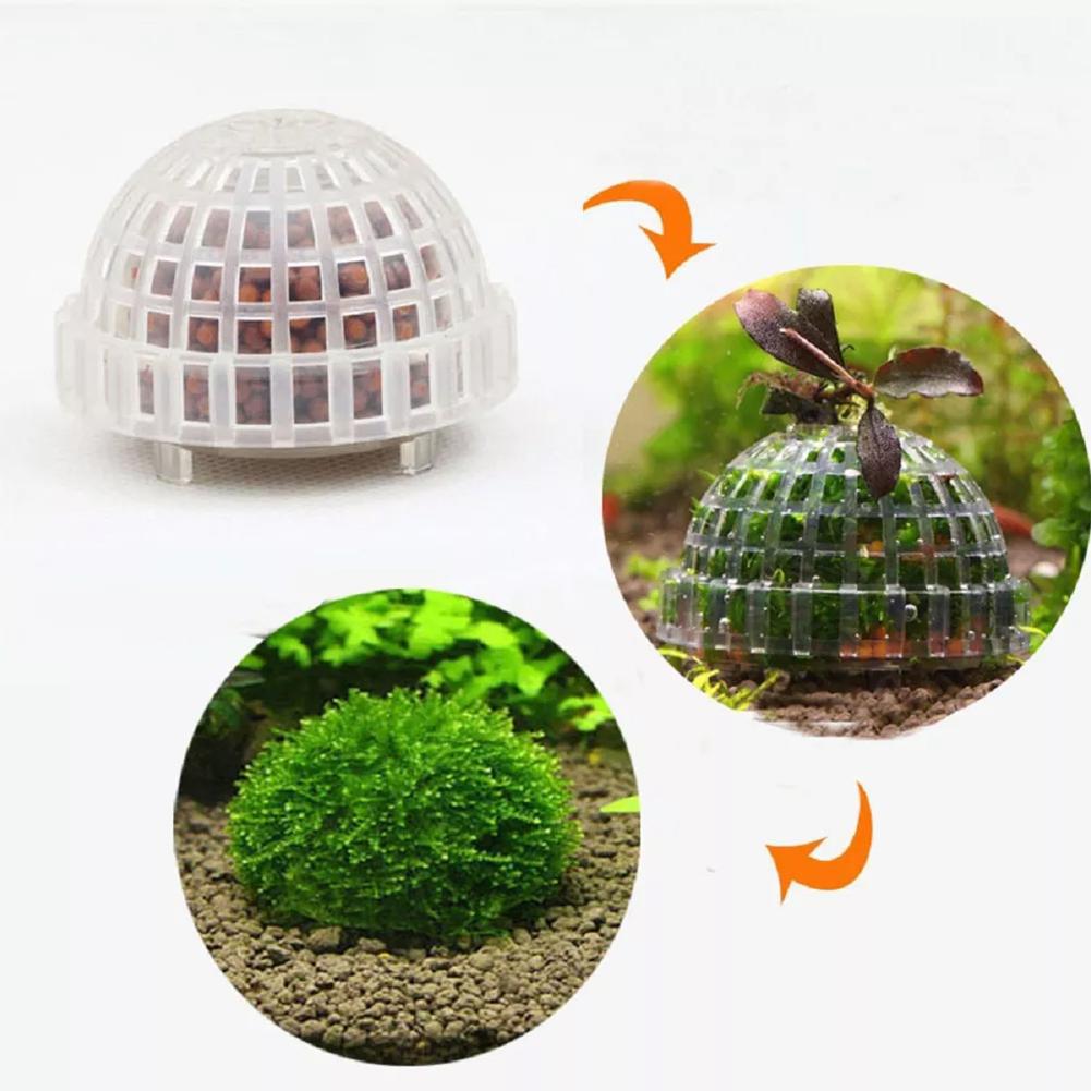 1pc Aquatic Pet Supplies Decor - Aquarium Plant Echinodorus incelemesi ve fiyatı