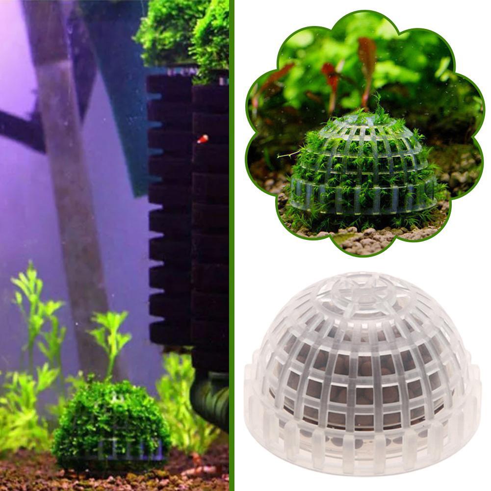 1pc Aquatic Pet Supplies Decor - Aquarium Plant Echinodorus incelemesi ve fiyatı