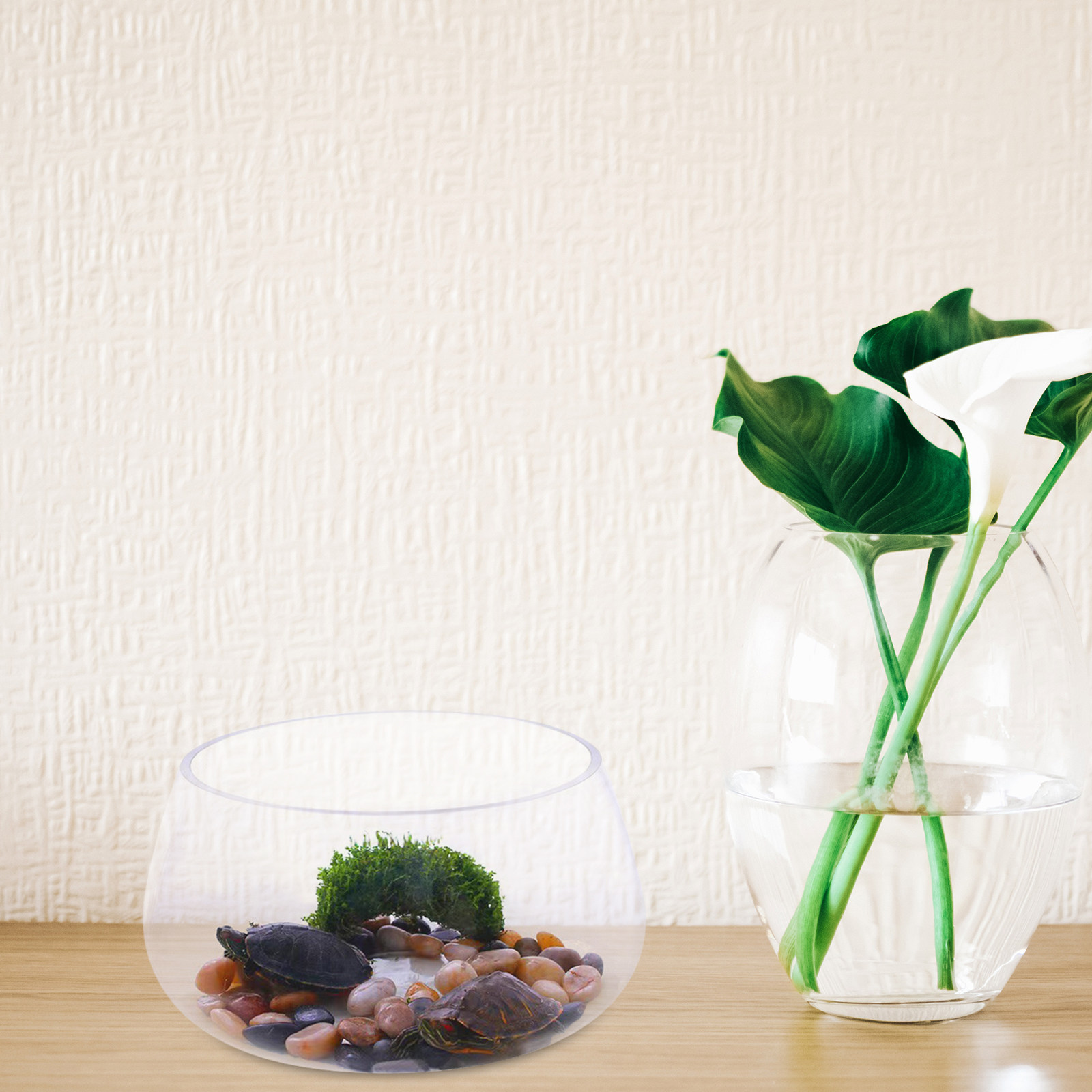 Round Mini Aquarium Transparen - Aquarium Planted Shop incelemesi ve fiyatı