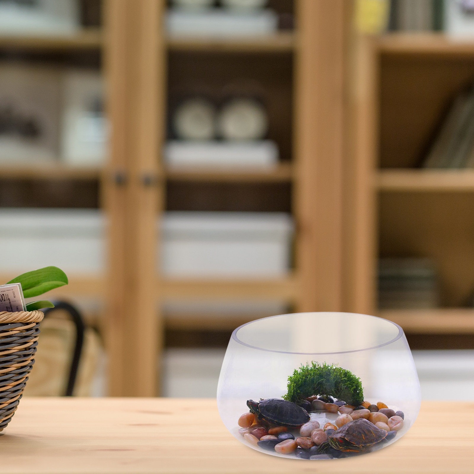 Round Mini Aquarium Transparen - Aquarium Planted Shop incelemesi ve fiyatı