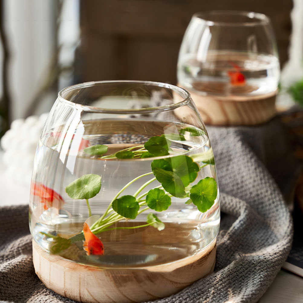 1Set Wooden Base Glass Hydropo - Aquarium Planted Plants incelemesi ve fiyatı