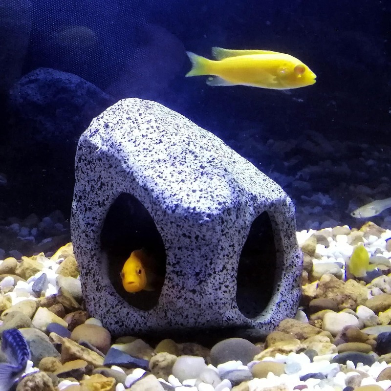 Fish Tank Cave Stone Landscapi - Aquarium Sand White incelemesi ve fiyatı