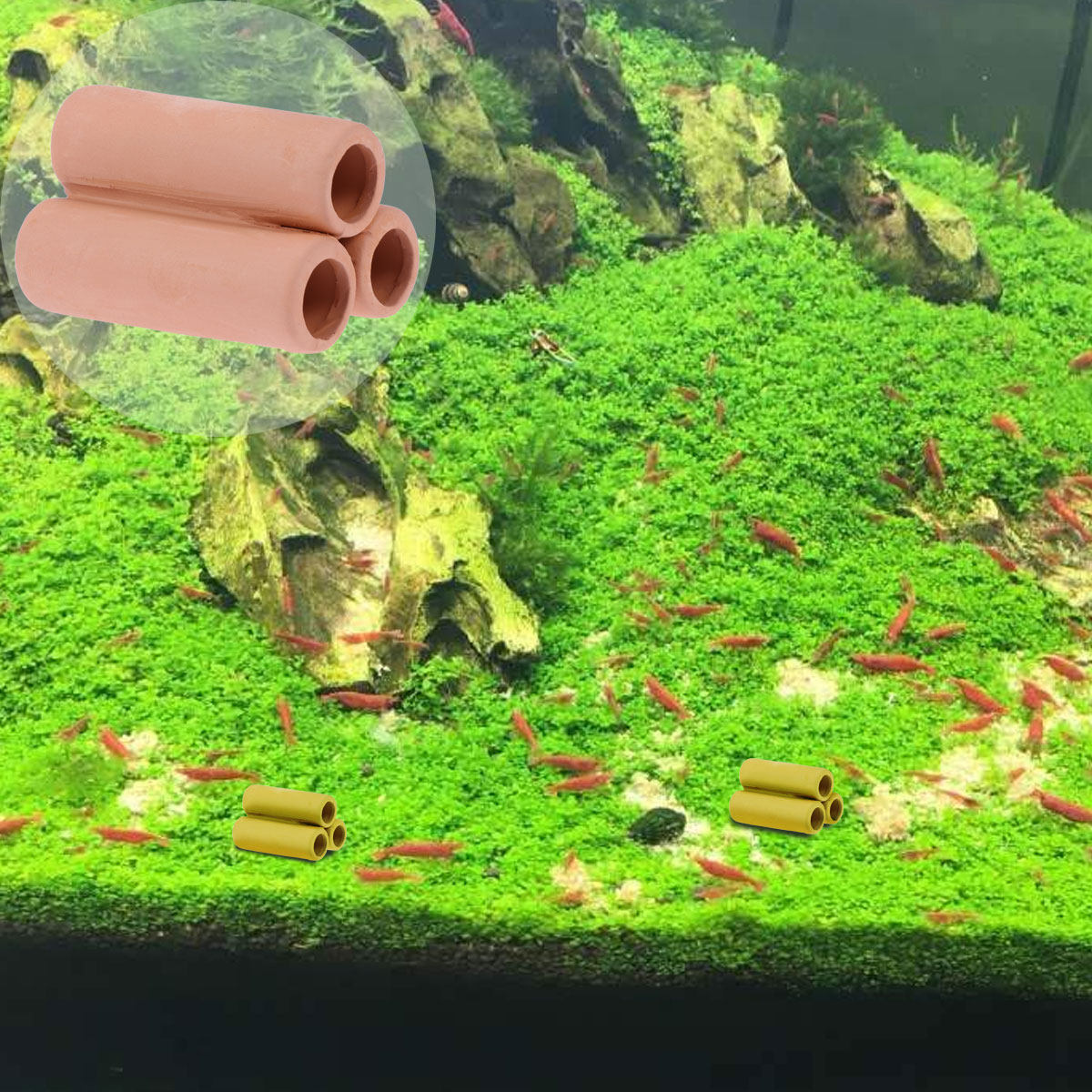 Ceramic Moss Tube Mineral Tube - Planted Aquarium Youtube incelemesi ve fiyatı
