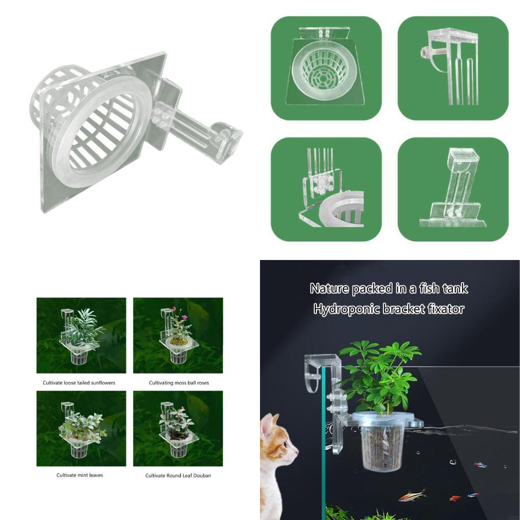 G92C Plant Stand Plant Holder  - Emersed Plants Aquarium incelemesi ve fiyatı