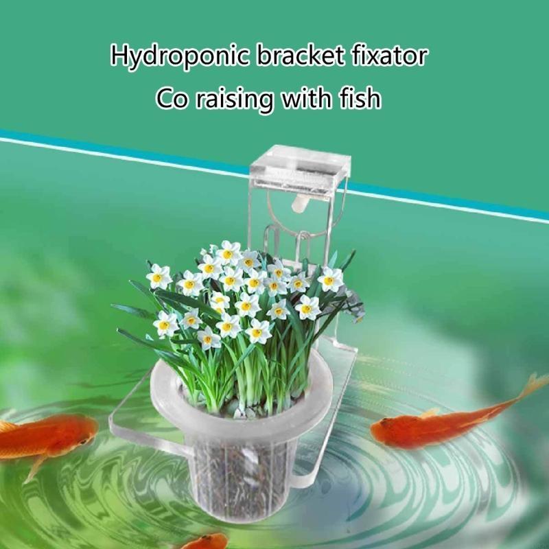 G92C Plant Stand Plant Holder  - Emersed Plants Aquarium incelemesi ve fiyatı