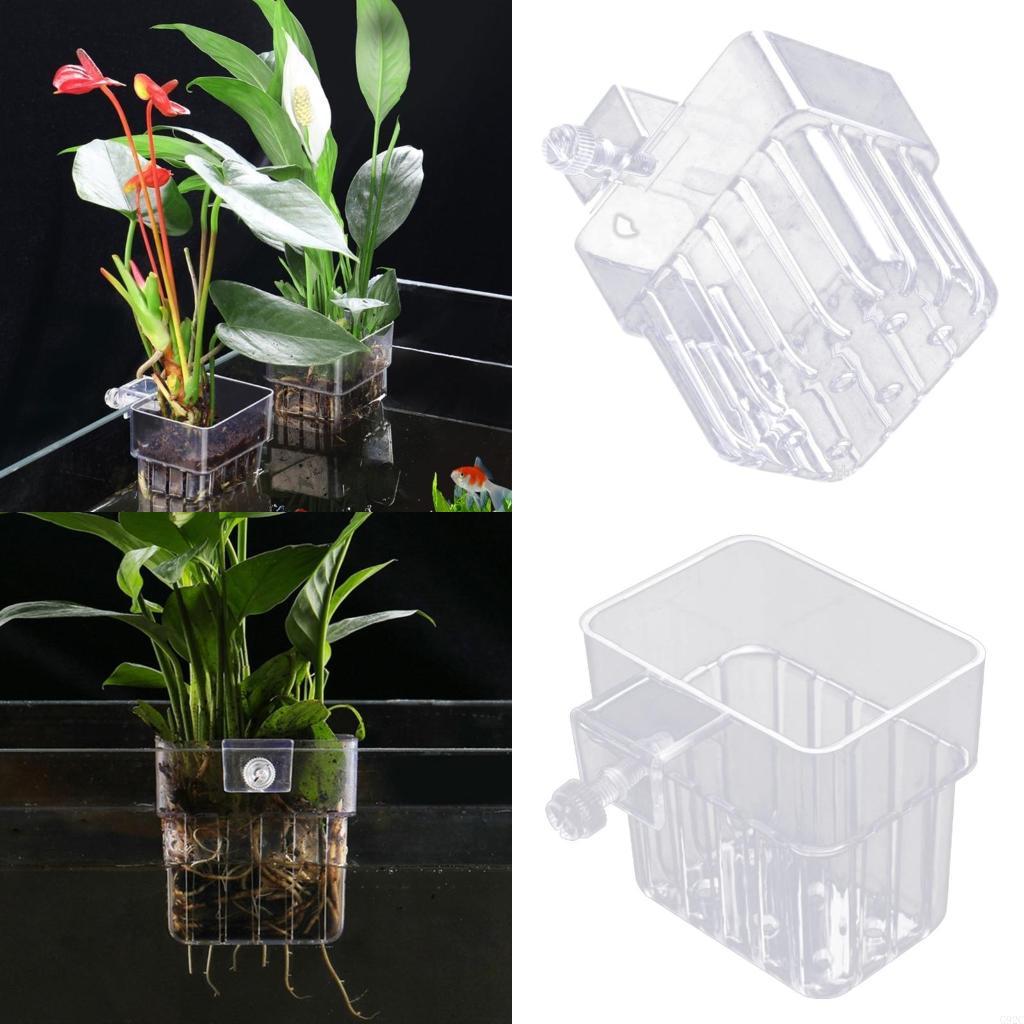 G92C Hangings Aquarium Plant H - Emersed Plants Aquarium incelemesi ve fiyatı