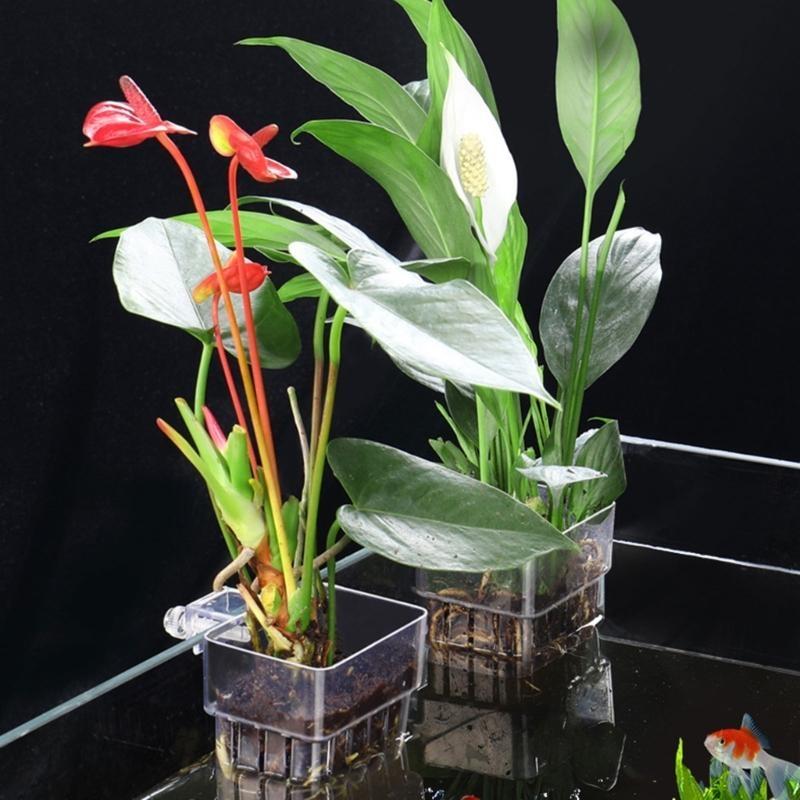 G92C Hangings Aquarium Plant H - Emersed Plants Aquarium incelemesi ve fiyatı