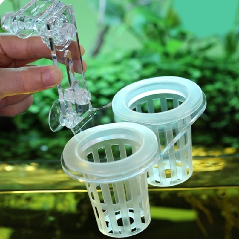 Aquariums Plant Stand Plant Cu - Emersed Plants Aquarium incelemesi ve fiyatı