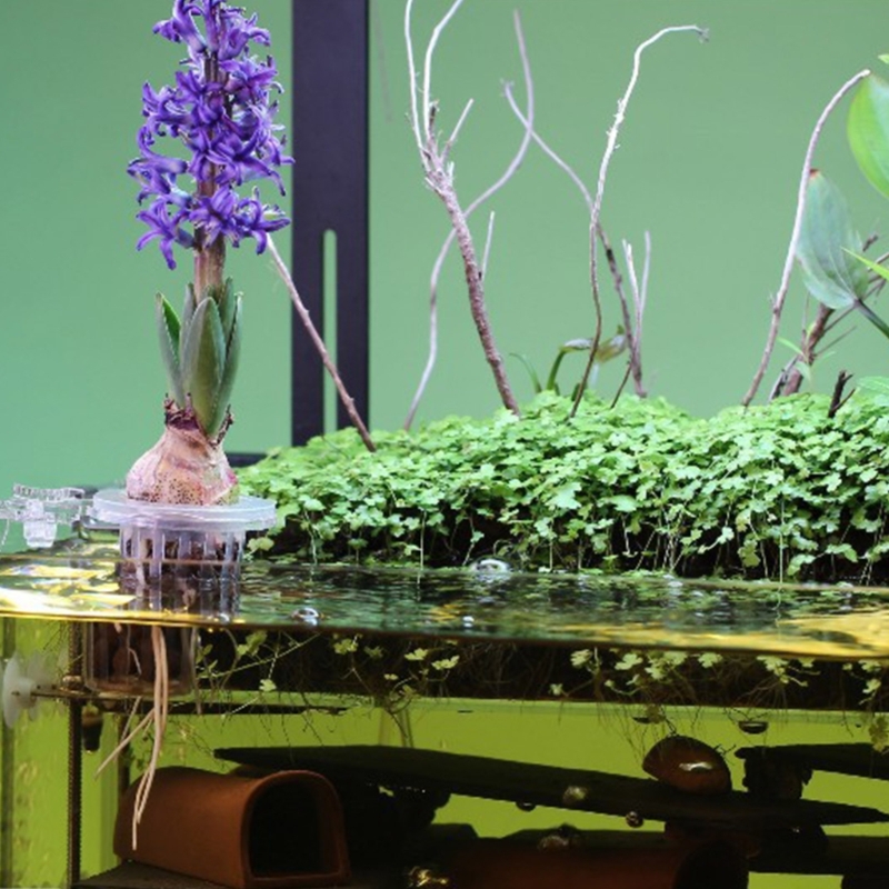 Aquariums Plant Stand Plant Cu - Emersed Plants Aquarium incelemesi ve fiyatı