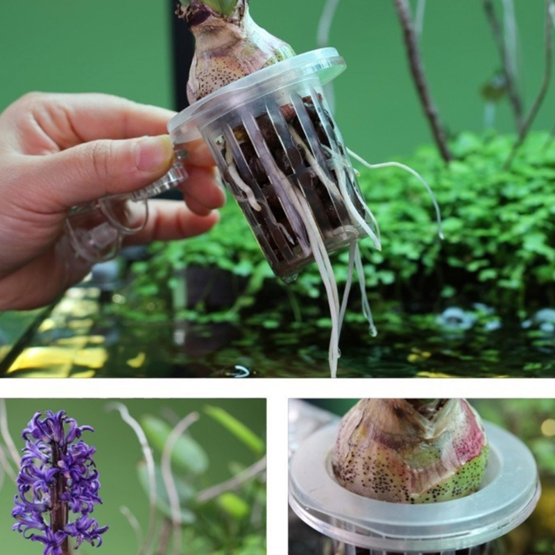 Aquariums Plant Stand Plant Cu - Emersed Plants Aquarium incelemesi ve fiyatı