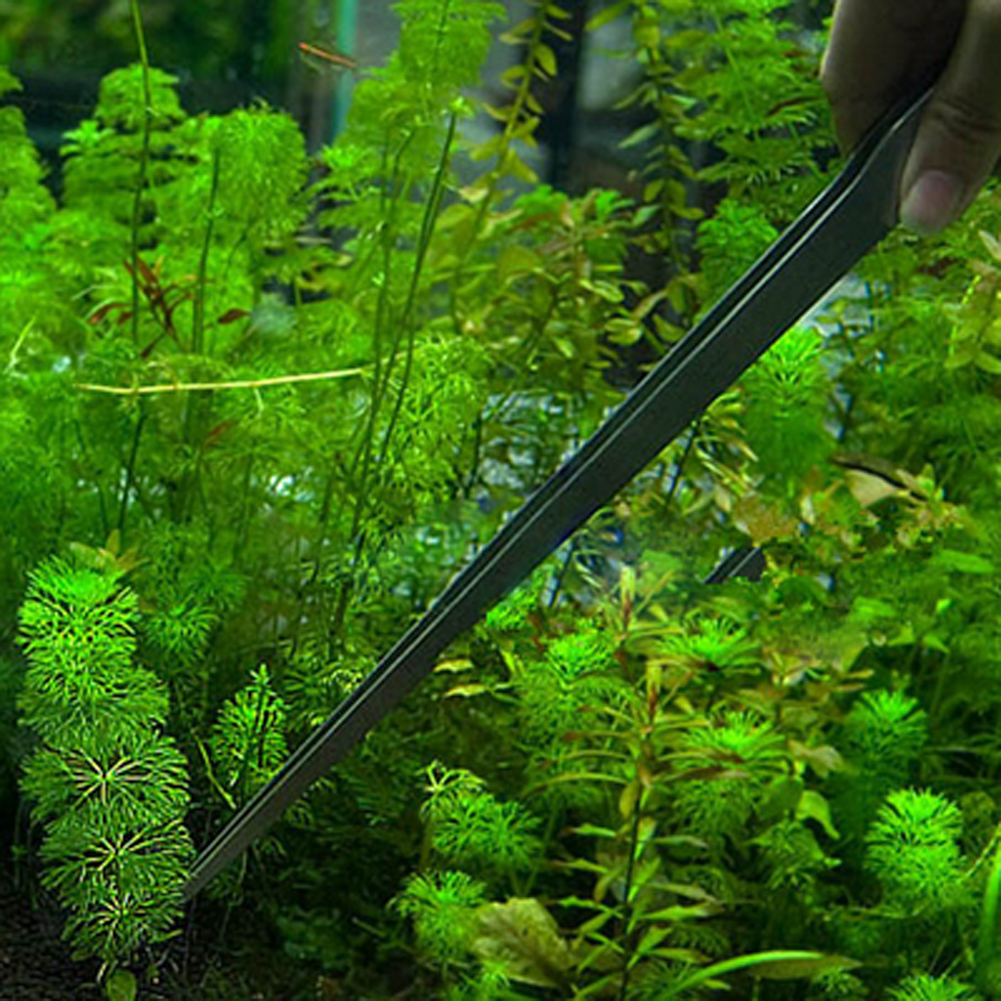 10.5 Inch Reptile Feeding Tong - Planted Aquarium Aquascape incelemesi ve fiyatı
