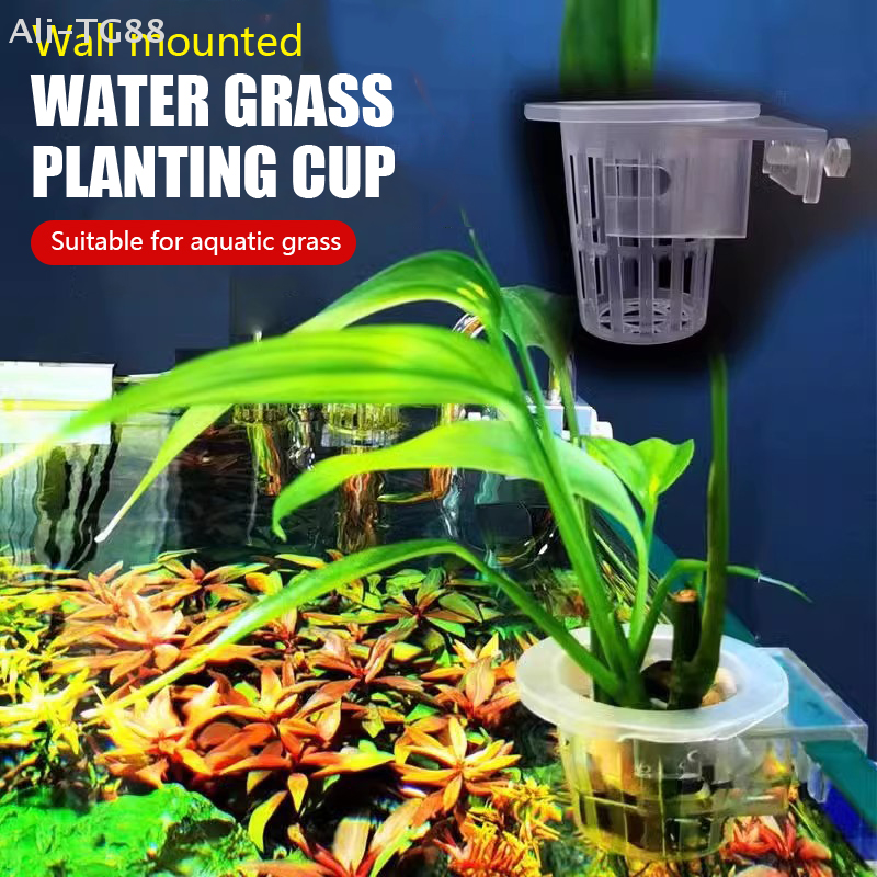 Hanging Aquarium Plant Holder  - Emersed Plants Aquarium incelemesi ve fiyatı