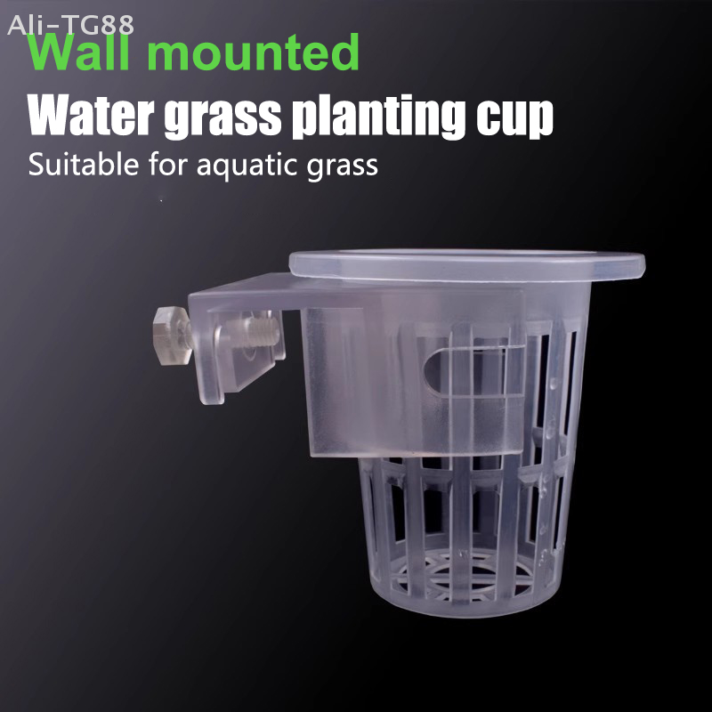 Hanging Aquarium Plant Holder  - Emersed Plants Aquarium incelemesi ve fiyatı